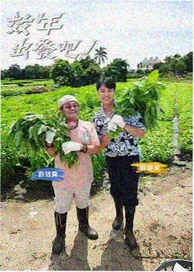 灰河岸边